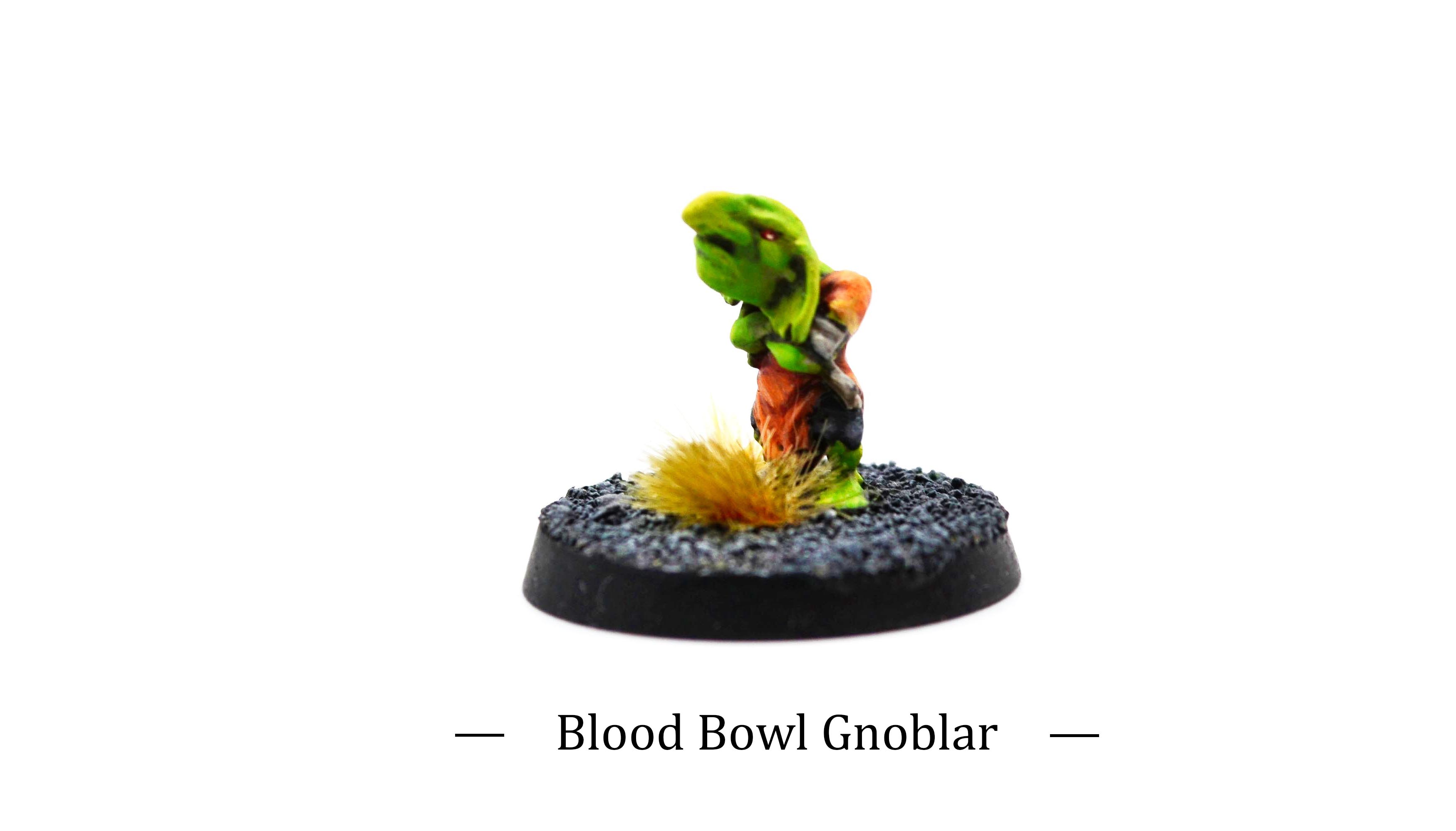 Ogre Blood Bowl Team: Gnoblars 2